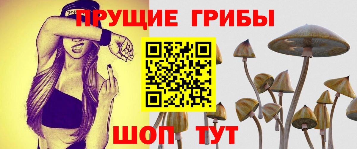 Псилоцибиновые грибы GOLDEN TEACHER  Вход с VPN  Курчатов 
